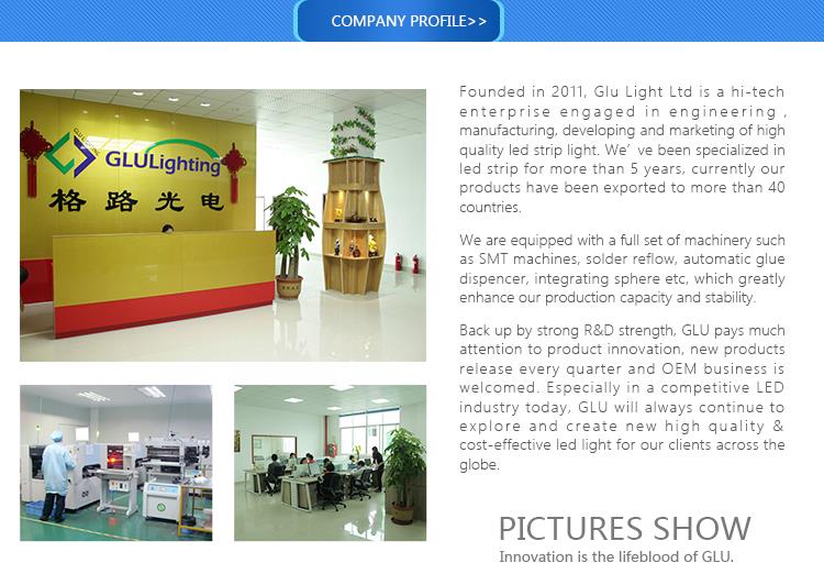 Alibaba》12V/24V china supplier 5050 warmwhite flex led strip 1 High CRI Ra95 2835 led strip manufacturer.jpg