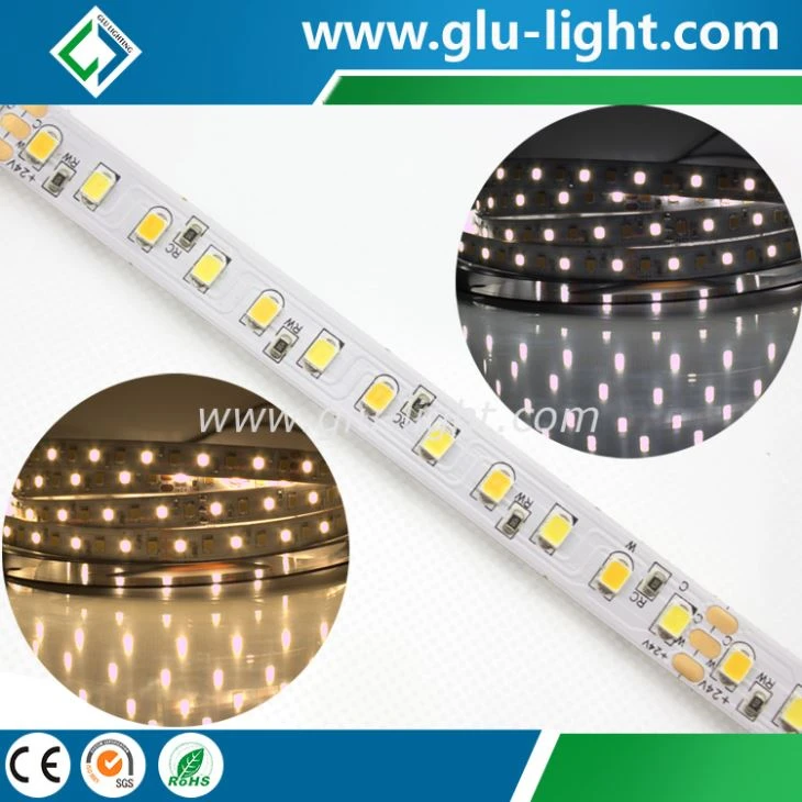 CCT tunable 24V 4 OZ pcb 10mm width bi color 2835 led flexible strip 