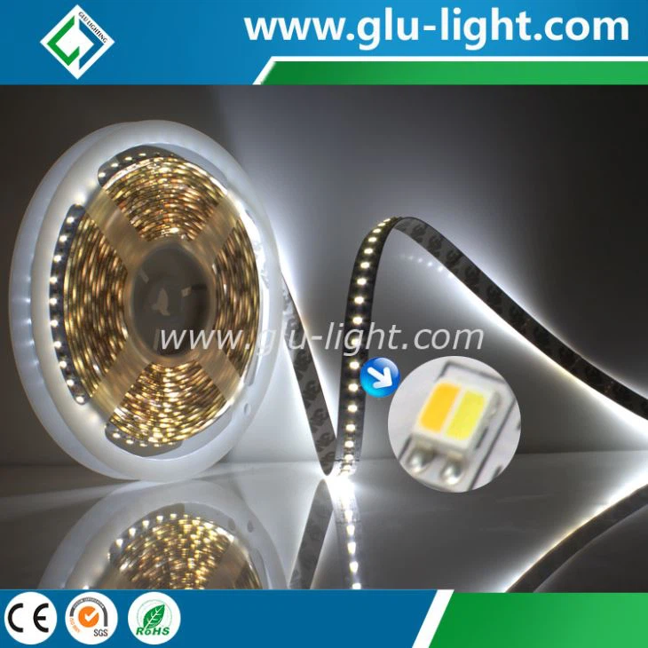alibaba com 10mm 3527 Bi-color led strips 