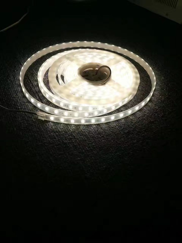 New IP68 Underwater 2835 Flex led strip 
