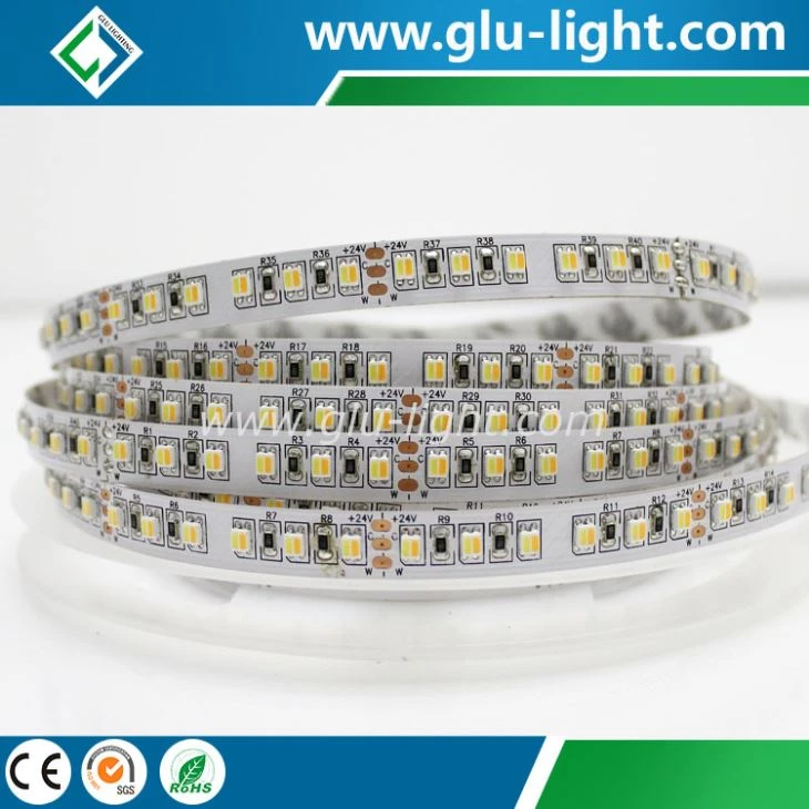 Wholesale 2835 2 chips in 1 CCT led strip lights